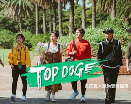 91猎奇《TOP DOG》免费在线观看