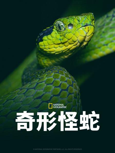 91猫先生《奇形怪蛇》免费在线观看